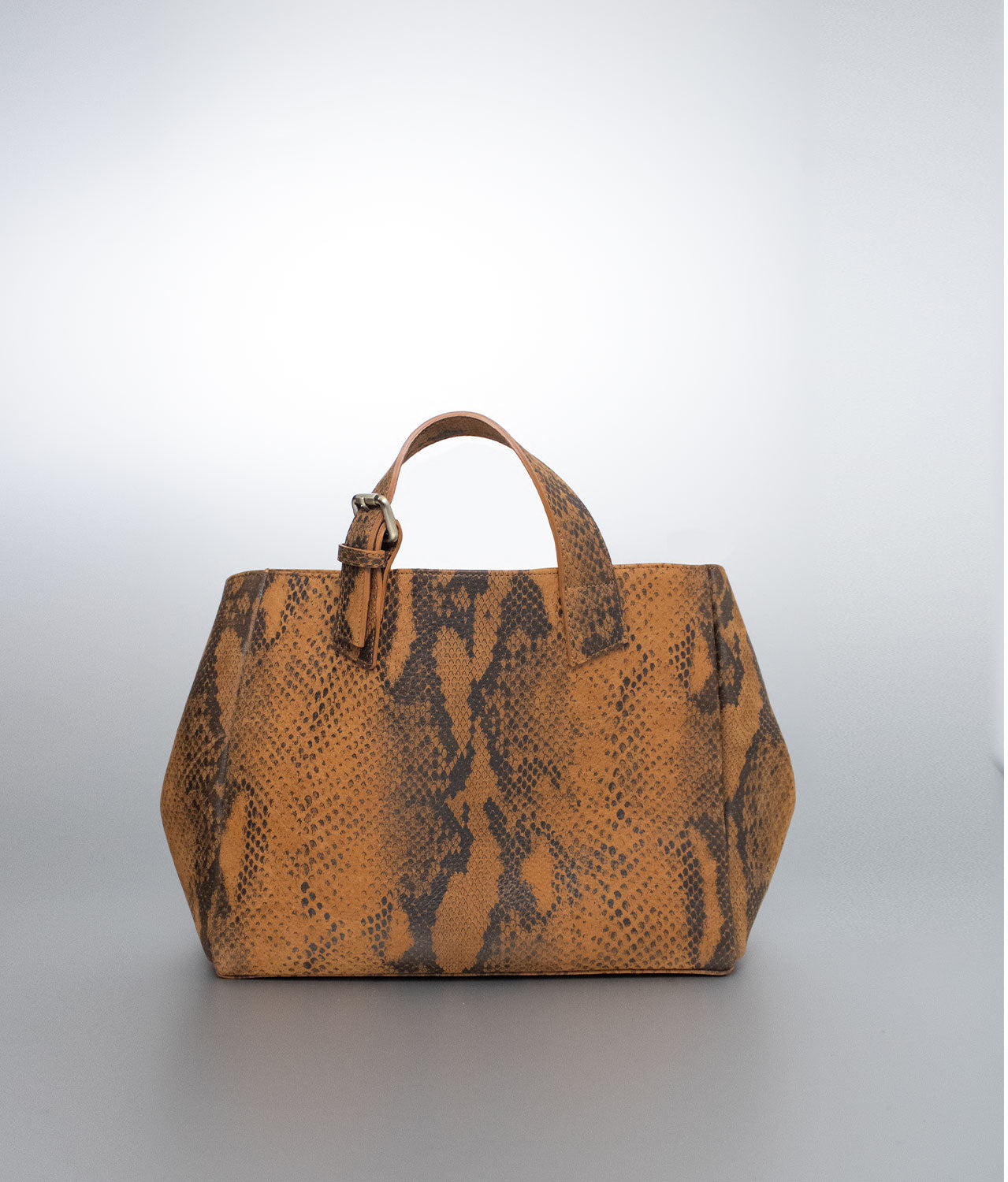 Asia Cuir Roma